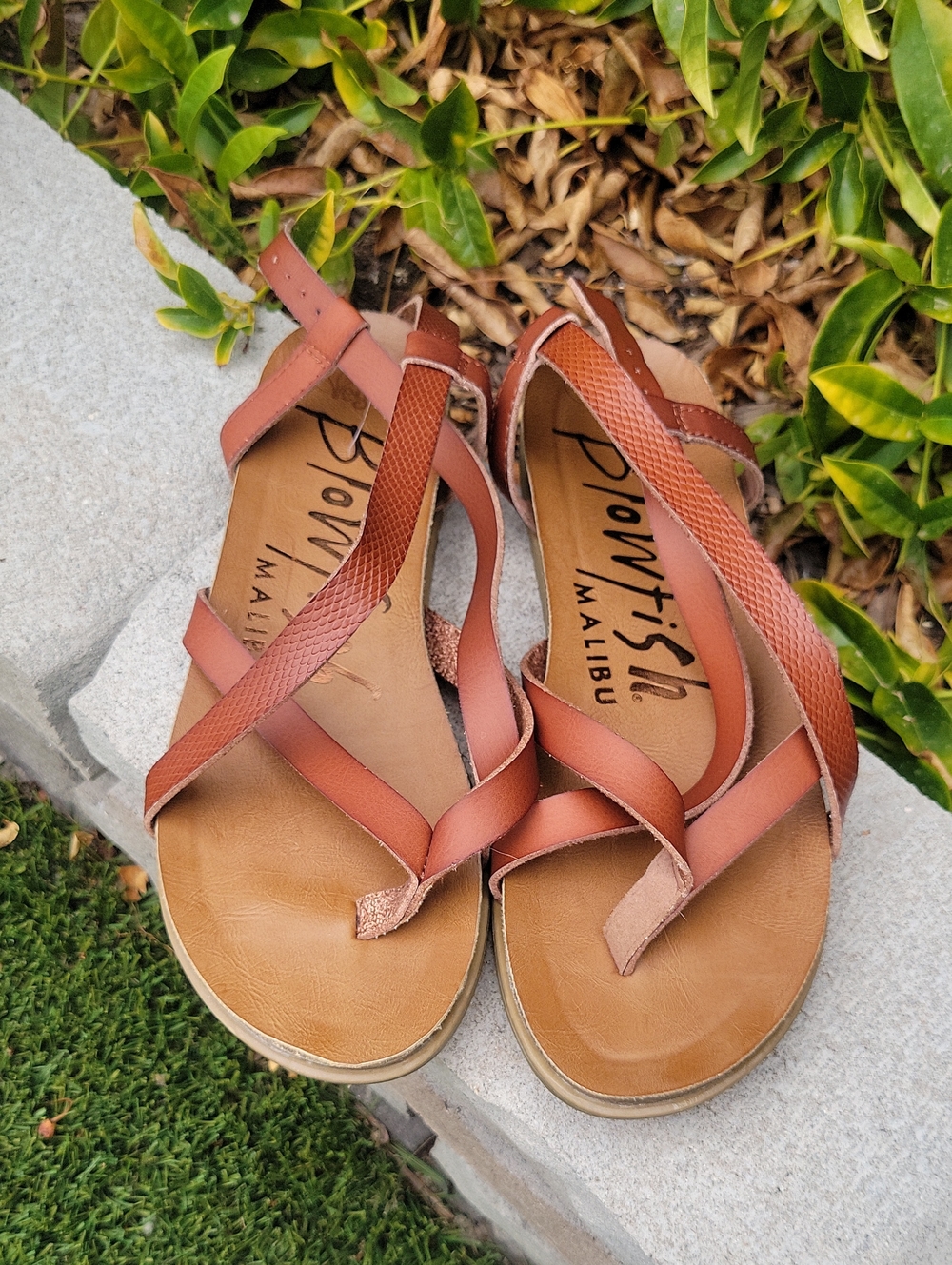Blowfish Malibu Brown Strappy Toe-Loop Sandals